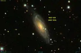 Image illustrative de l’article NGC 1233