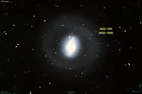 Image illustrative de l’article NGC 1291