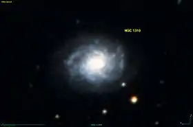 Image illustrative de l’article NGC 1310