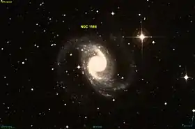 Image illustrative de l’article NGC 1566