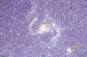 Image illustrative de l’article NGC 1910