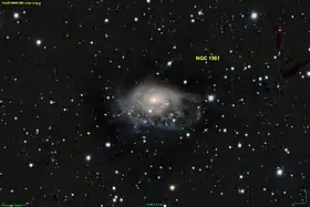 Image illustrative de l’article NGC 1961