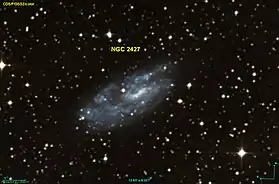 Image illustrative de l’article NGC 2427