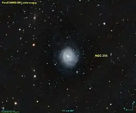 Image illustrative de l’article NGC 255