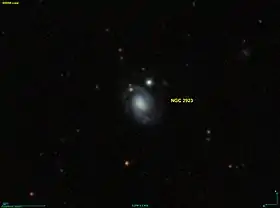 Image illustrative de l’article NGC 2923