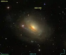 Image illustrative de l’article NGC 3169