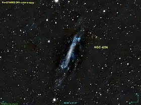 Image illustrative de l’article NGC 4236