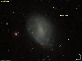 Image illustrative de l’article NGC 4242