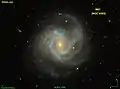 M61 image provenant du relevé SDSS.