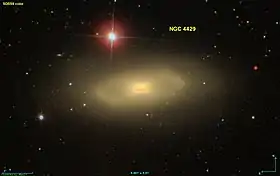 Image illustrative de l’article NGC 4429