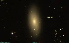 Image illustrative de l’article NGC 4503