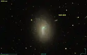 Image illustrative de l’article NGC 4630