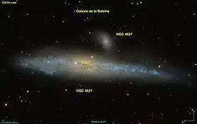 Image illustrative de l’article NGC 4631