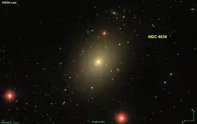 Image illustrative de l’article NGC 4636