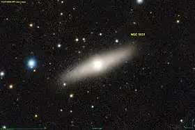 Image illustrative de l’article NGC 5031