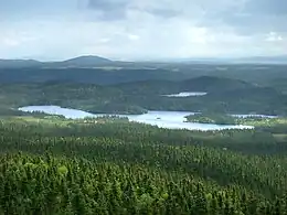 Forêt boréale du Parc National de Terra Nova, Centre de Terre-Neuve (vue depuis Ochre Hill)