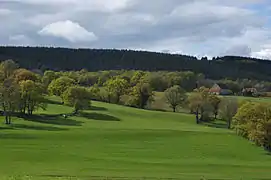 Vallée à l'est de Noyant-d'Allier.