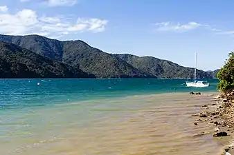 Photographie d'un bras de mer vu depuis une plage. Les eaux proches du rivage sont de couleur brune.