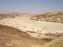 Wadi de Nahal Paran rivière éphémère dans le Désert du Neguev (Israël).