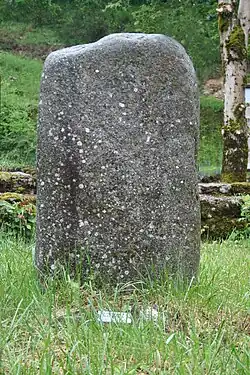 Satue-menhir de la Barraque des Fournials.