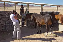 Quatre personnes autour d'un cheval, dont une prend une photo.
