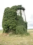 Ruines du moulin.