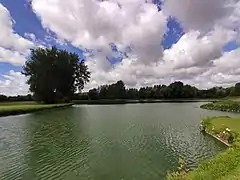 l'étang du golf