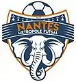 Logo du Nantes MF
