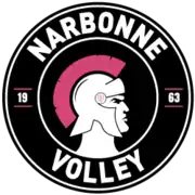 Logo du Narbonne Volley