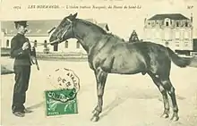 Carte postale ancienne montrant un homme tenant un cheval par les rênes