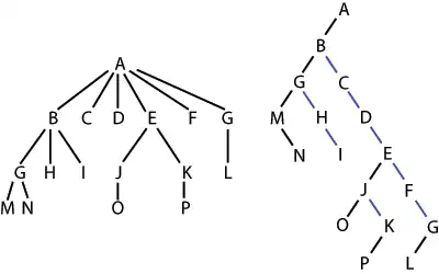 Un exemple de conversion d'un arbre quelconque en un arbre binaire