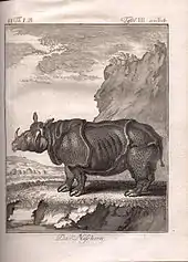 Le Rhinocéros unicorne, édition de Leipzig, 1767. Le « modèle » est le rhinocéros femelle Clara (1738-1758).