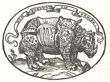 Dans l'emblème, le rhinocéros de Dürer est surmonté d'une légende « Non buelvo sin vencer », « Je ne reviendrai pas sans victoire ».