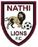 Logo du Nathi Lions