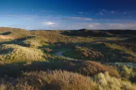 Parc national Zuid-Kennemerland.