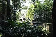 Photographie de temples précolombiens envahis par la végétation