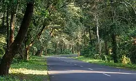 Route nationale 31 près de Lataguri, Bengale-Occidental.