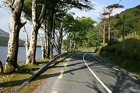 Image illustrative de l’article Route nationale 59 (Irlande)