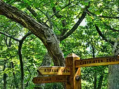 Panneau dans le bois dans le sud de l'île.