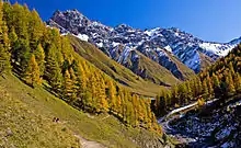 photo de paysage prise dans le parc national de suisse, elle montre la présence de forêt au pied d'une montagne et la modification de la végétation sur les flancs en montant vers le sommet, sommet quasiment uniquement rocailleux