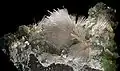 Natrolite et  Apophyllite - Nasik District, Maharashtra, Inde (24x14cm)