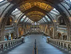 Le grand hall du Musée d'histoire naturelle de Londres