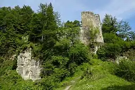 Grasburg : ruines vus du sud-est