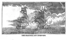 illustration de HMS Epervier (1812)