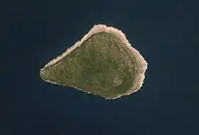 Image satellite de l'île de la Navasse en 2006.