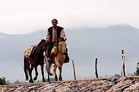 Poney du Yunnan de type Lijiang monté par un Naxi