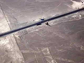 Le lézard (à gauche) coupé par la route transaméricaine