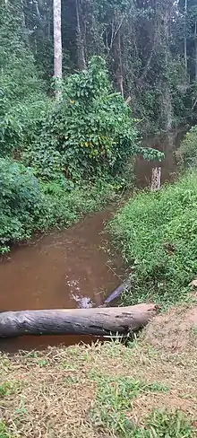 Le ruisseau Ndjock Yambi à Hikoadjom