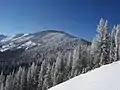 Vue d'hiver à proximité du domaine skiable de Lookout Pass