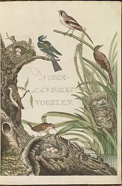 Image illustrative de l’article Nederlandsche vogelen